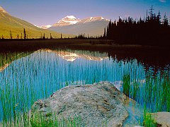 Mount Athabasca, Jasper National Park, Canada